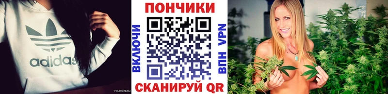 Бошки Шишки план  Купить где  Мончегорск 